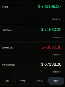 Stat blocks: profit, rakeback, commission and withdrawals